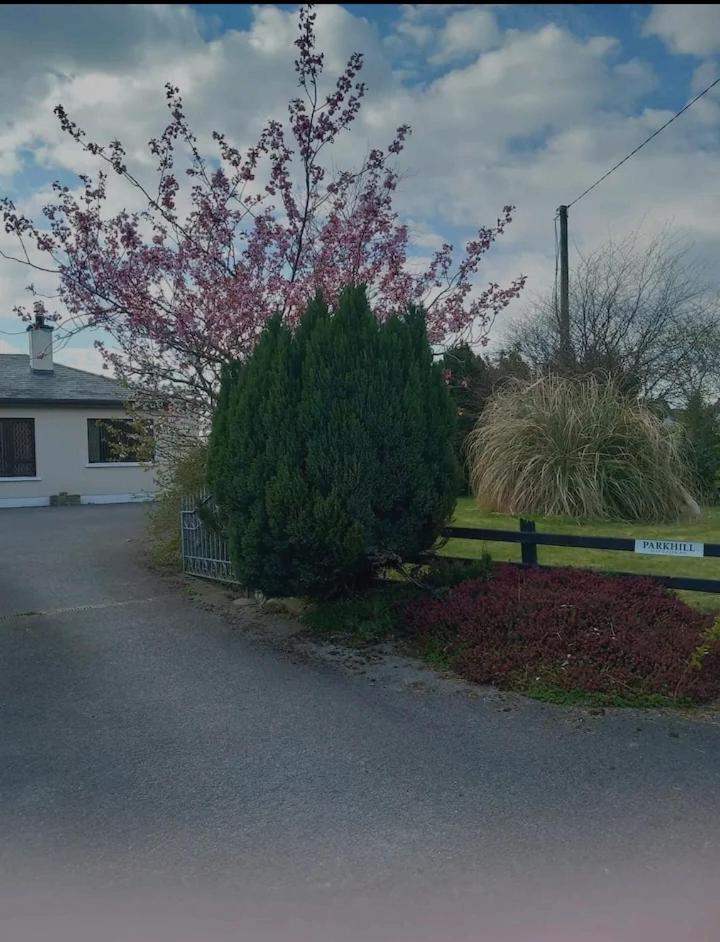 Parkhill House Self Catering Lejlighed Ballyshannon Eksteriør billede